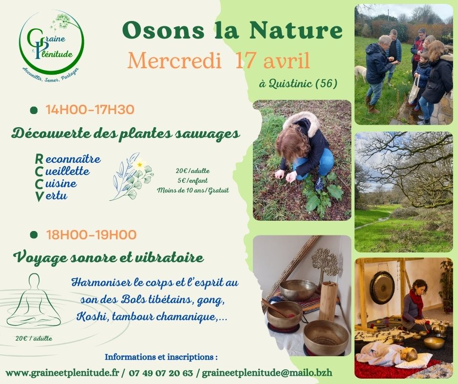 Atelier Plant'attitude du mercredi 17 avril 2024, cueillette, cuisine et vertus des plantes sauvages et bain sonore